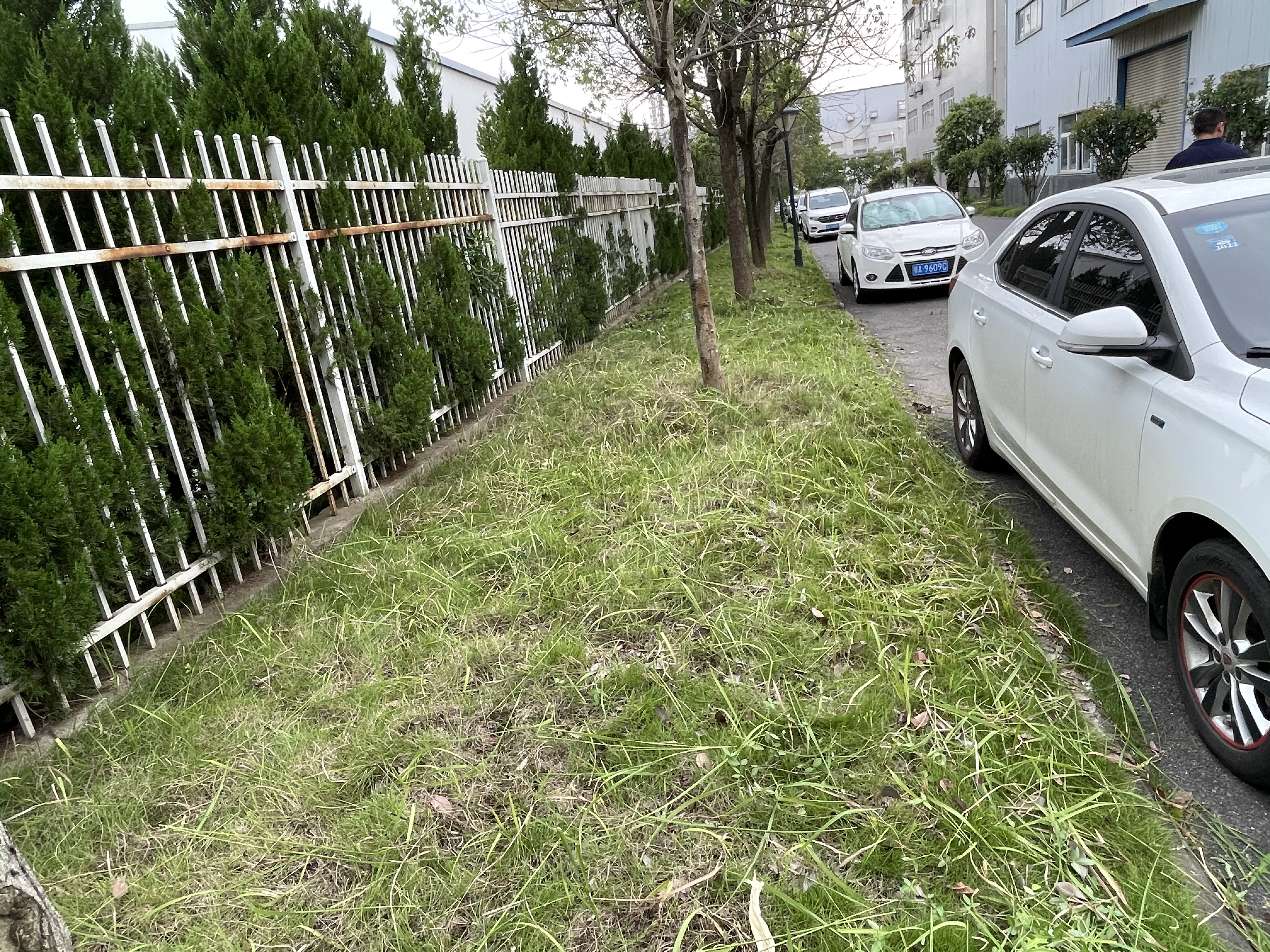 管家婆2025免费资料使用方法