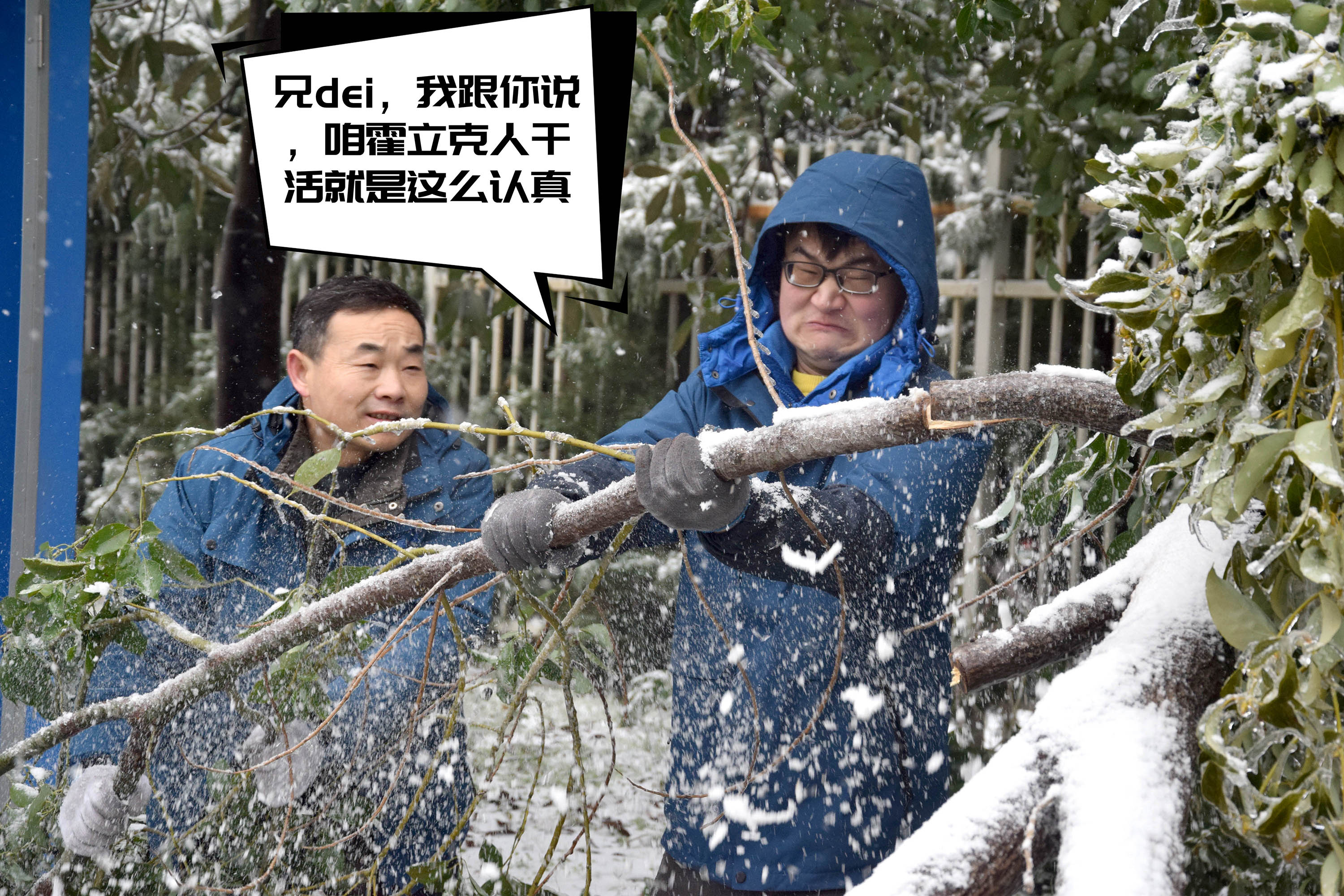 管家婆2025免费资料使用方法